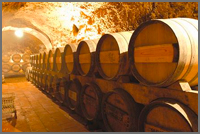 Bodegas y catas