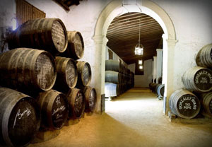 Bodegas y Catas de Vino