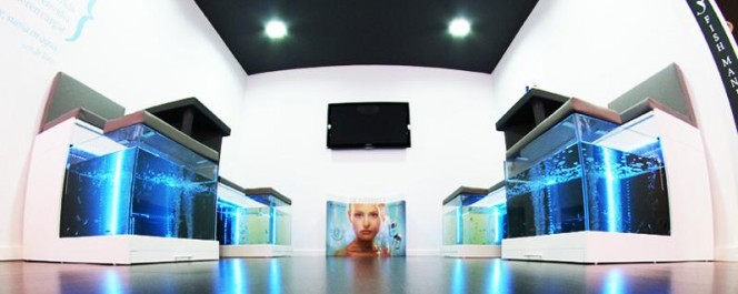 vista de las peceras donde se hacen los tratamientos de fish pedicure en termas de ruham