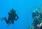 Bautizo de buceo en río para dos en Cáceres