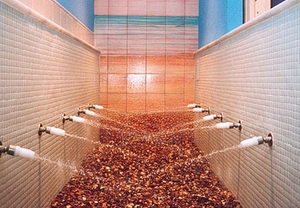 Spa y masaje relajante para 2 en Agua y Salud