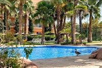 Escapada con Spa en el Husa Alicante Golf 4 estrellas
