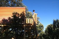 Bungys: escapada en una cabaña en los árboles con cena