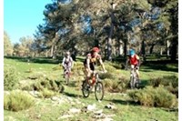 OFERTA: Ruta en bici y picnic para dos