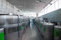 Visita, cata y botella de vino para 2 en Finca Montepedroso