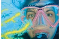 Curso básico de buceo dos días