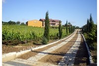 Visita y cata de vinos en Viña Placentina