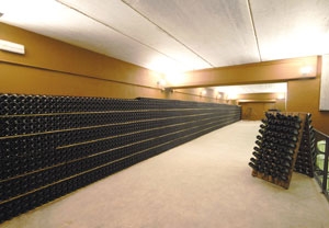 Curso de cata de vino en bodegas Joan Sardà para dos