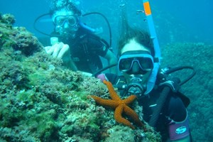 2x1: Bautismo de buceo con instructor para 2 en Calpe
