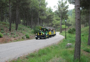 Tour en tren y ruta para toda la familia