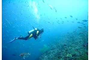 2x1: Buceo en Gran Canaria para dos