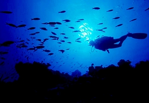 2x1: Buceo en Gran Canaria para dos