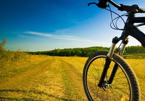 Cicloturismo entre viñas con cata de vino y cava