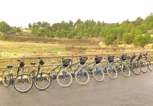 Cicloturismo entre viñas con cata de vino y cava