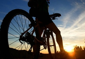 Cicloturismo entre viñas con cata de vino y cava