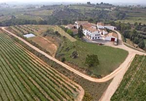 Visita y curso de cata en la bodega J. Miquel Jané para 2