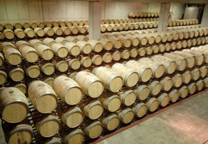 Visita y cata de vinos para 2 en Joan Sardà