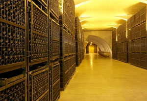 Visita y cata de cava en la bodega Agustí Torelló para 2