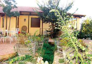 Escapada con visita a bodega en Casa Rural Pago de Tharsys