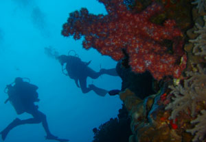 Curso de Buceo OPEN WATER DIVER (INICIACIÓN) en Jávea