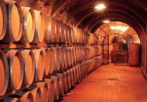 Escapada Vinícola: una noche con desayuno y cata de vino