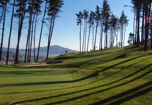 Día familiar de golf para cuatro