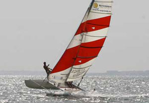 Curso de 1 hora de windsurf o vela en las playas alicantinas