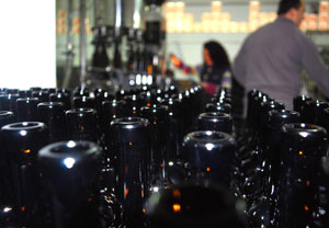 Escapada con visita a bodega en Casa Rural Pago de Tharsys