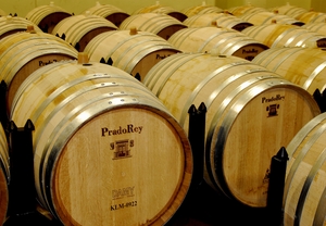 Bodegas y catas de vino