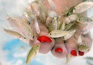 Fish spa, masaje podal y tratamiento parafina