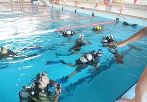 OFERTA: Bautizo de buceo en piscina para 2 en Fuengirola