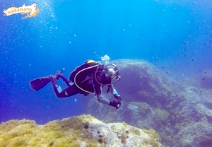 2x1: Bautizo de buceo con instructor para 2 en Cabo de Palos
