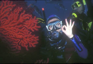 Bautizo de buceo en Calpe