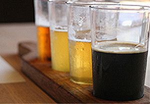 Curso de Cata de Cervezas