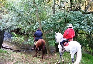 ¡OFERTA! Paseo a caballo para dos por la Sierra de Madrid