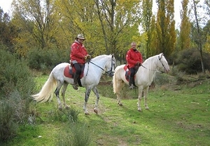 ¡OFERTA! Paseo a caballo para dos por la Sierra de Madrid