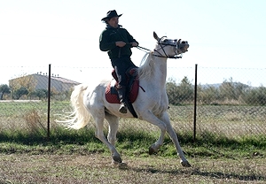 ¡OFERTA! Paseo a caballo para dos por la Sierra de Madrid