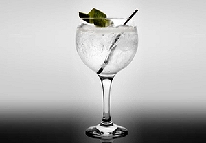 Taller y cata de gin tonic en el centro de Madrid