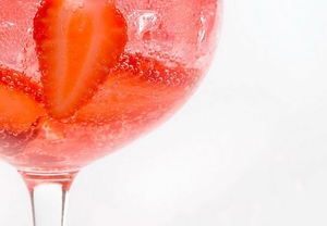 ÚLTIMAS PLAZAS:Taller de vodka tonic para 2 en Barcelona y Madrid