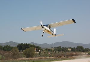 Vuelo en ultraligero de 15 minutos