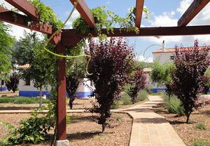 Escapada de dos noches en Las Casitas de la Aldea