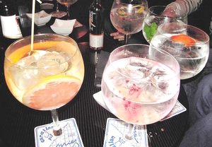 Curso y cata de gin tonic en La Gintonería de Candilón