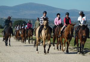 Clase de equitación o paseo a caballo
