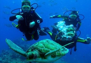 Escapada con buceo en Los Cristianos 