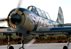 Vuelo y maniobras de combate en avión soviético Yakovlev