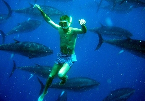Tuna Tour Experience para 2: Nadar con atunes rojos y degustación