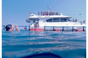Tuna Tour Experience para 2: Nadar con atunes rojos y degustación