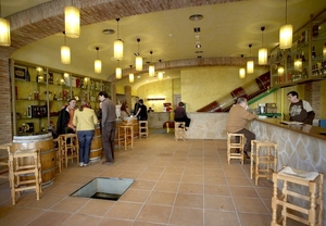 Visita y cata de cava con aperitivo en Canals i Munné