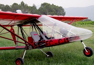 Piloto por un día en ULM en Gandía (65min)