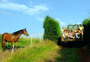 Escapada a la Yeguada Albeitar y rodéate de animales
